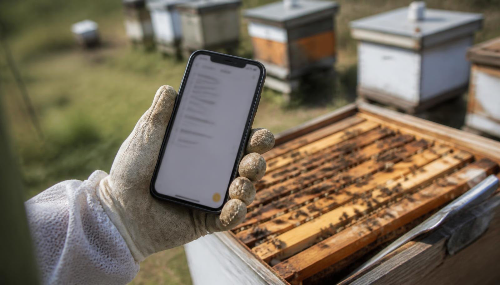 Beekeeper checking Ai Summaries Inspection Notes for hive records