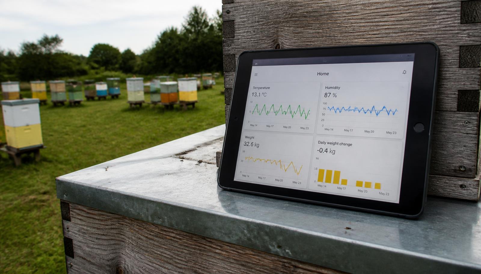 A Tablet Showing Colony Charts Resting On A Hive Roof In