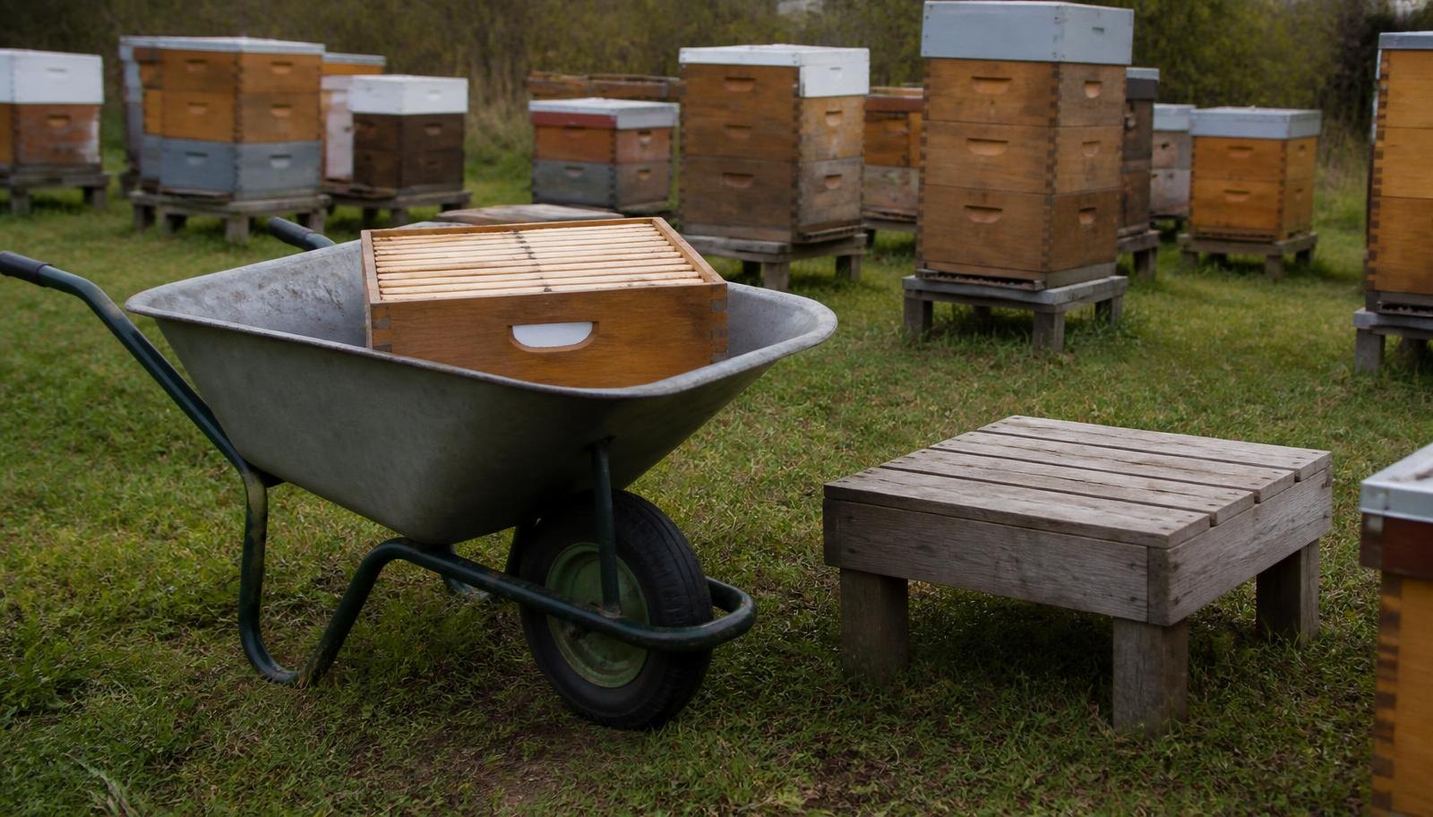 A Wheelbarrow With A Super Beside A Low Working Stand In