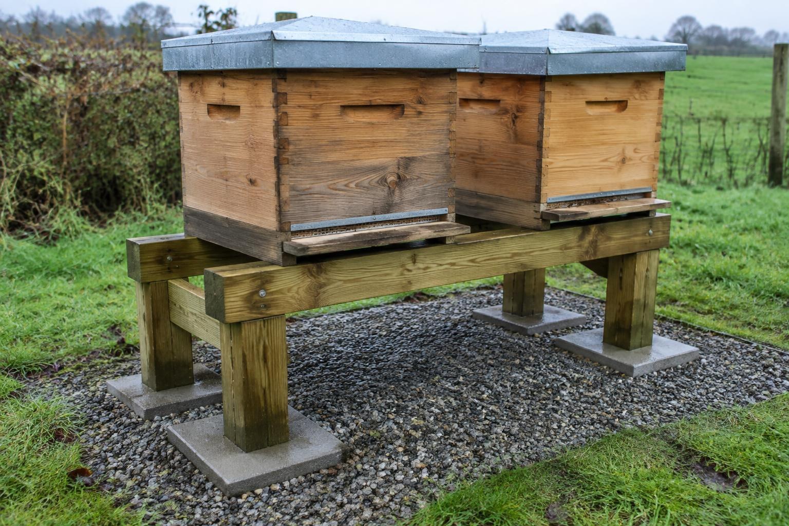 Wooden hive stand supported on concrete pavers over gravel