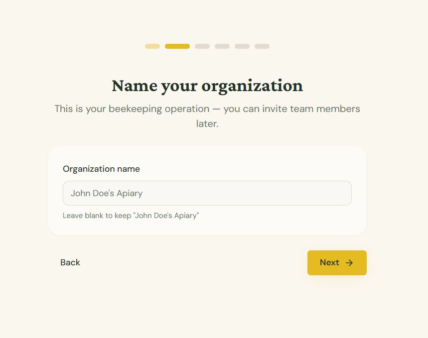 Organization setup