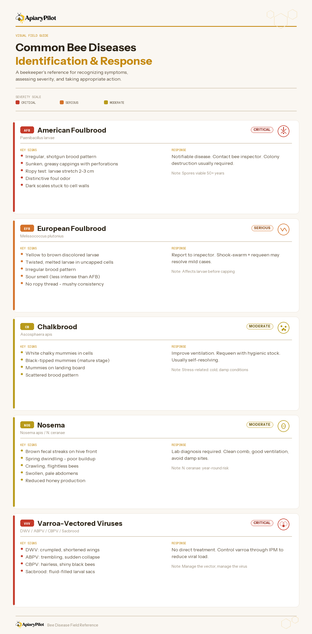 Common Bee Diseases Visual Field Guide