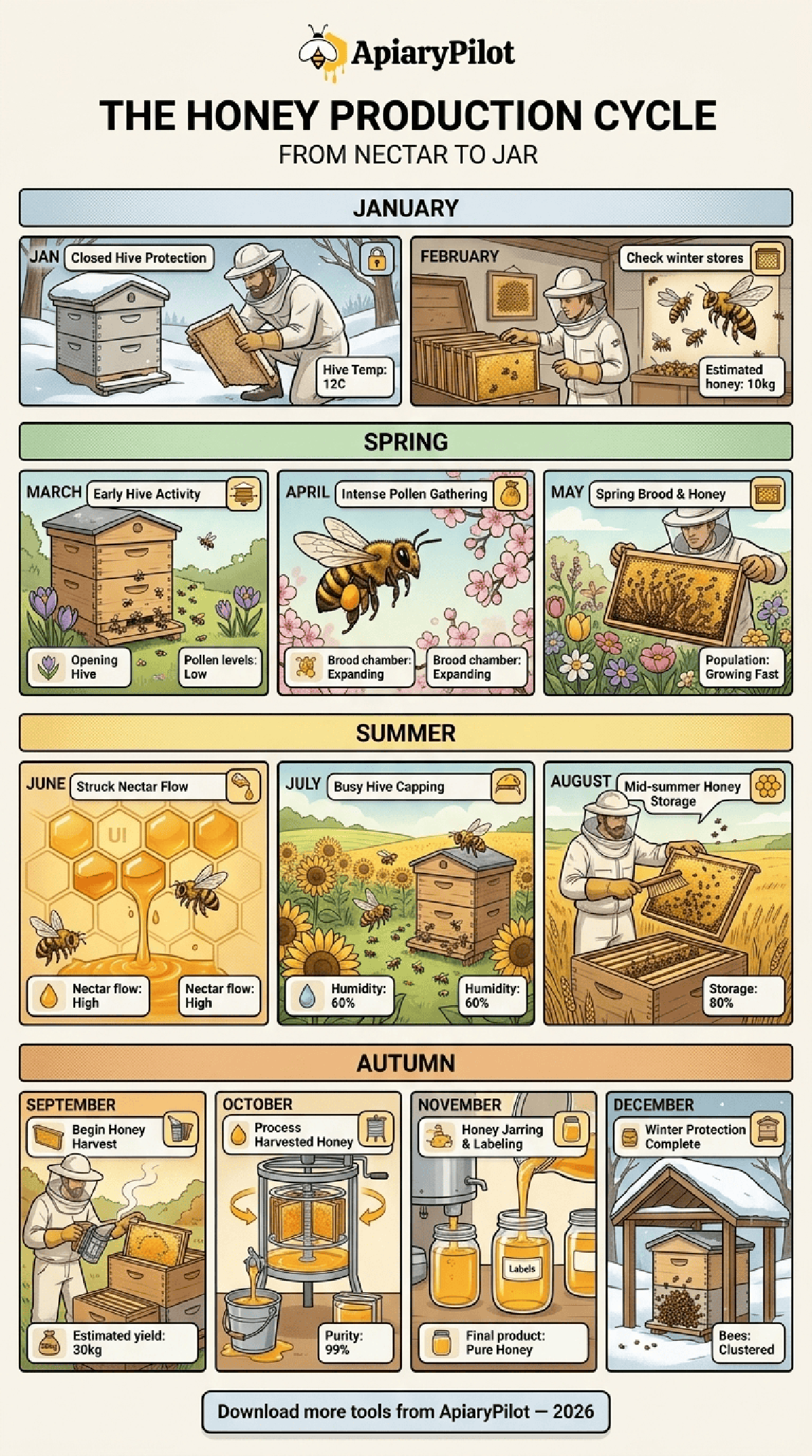 Printable Honey Production Cycle From Nectar beekeeping infographic for apiary planning