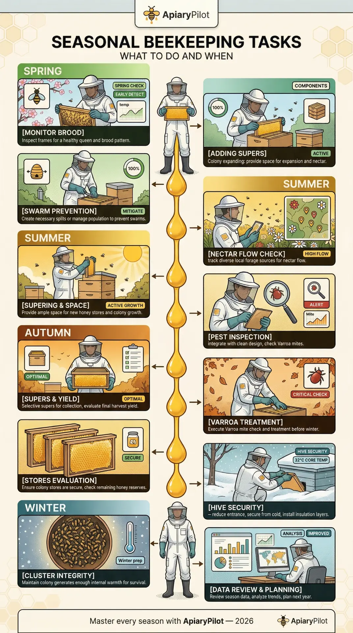 Printable Seasonal Beekeeping Tasks Do beekeeping infographic for apiary planning