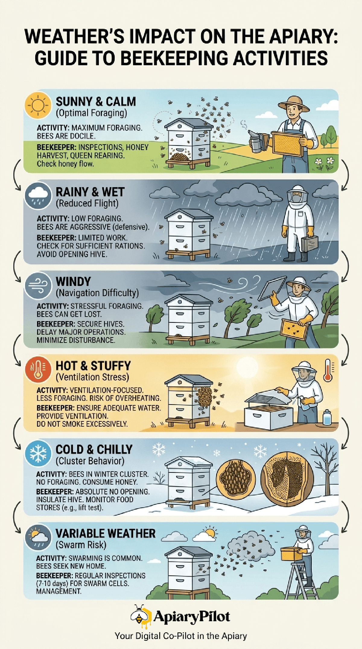 Weather Impact On Apiary Infographic